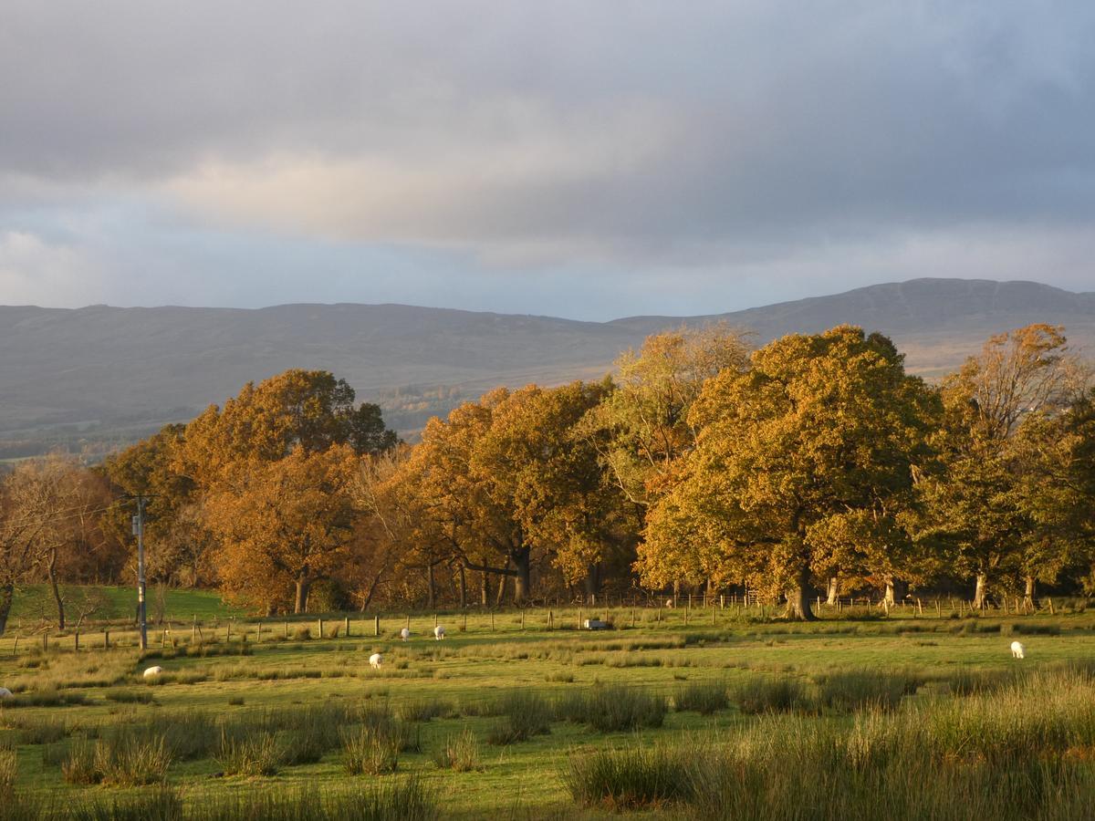 Loch Lomond Finnich Cottages Drymen Exteriér fotografie